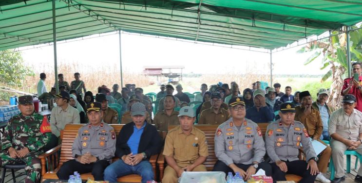 Foto: Polres Kayong Utara Gelar Panen Raya Jagung untuk Dukung Ketahanan Pangan Nasional | Pifa Net