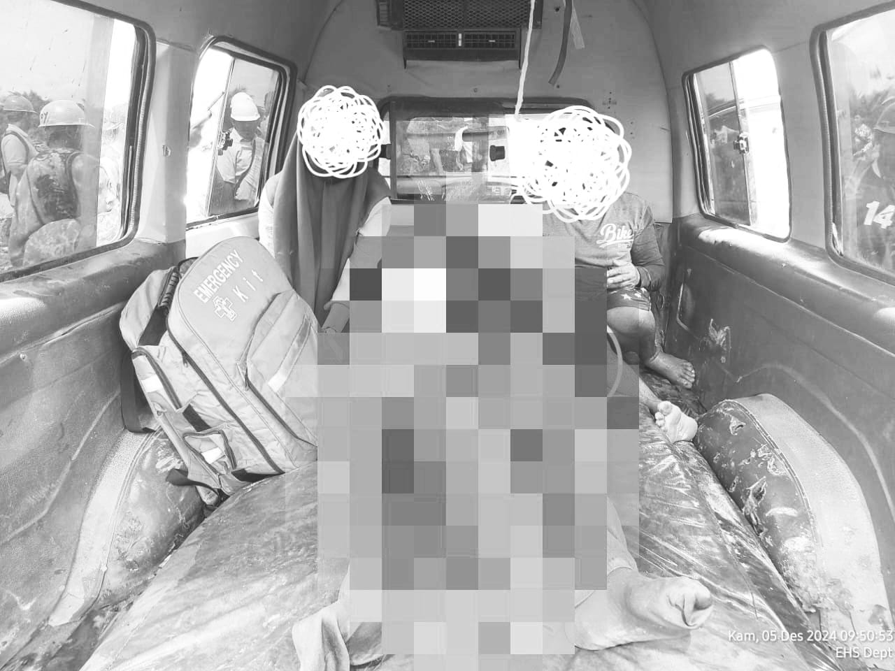 Foto: Serangan Buaya di Perkebunan Sawit Ketapang, Seorang Warga Tewas | Pifa Net
