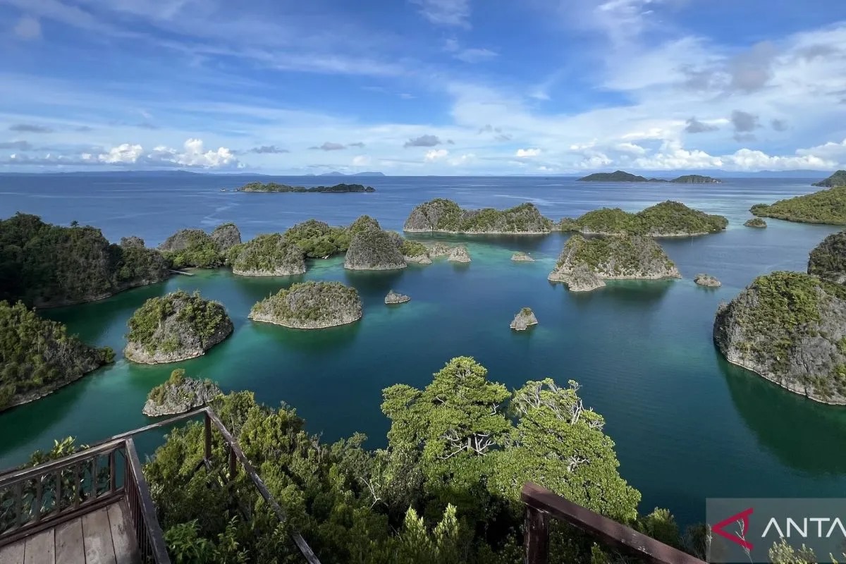 Foto:  Presiden Prabowo Cabut Empat Izin Tambang di Raja Ampat, Satu Dihentikan Sementara | Pifa Net