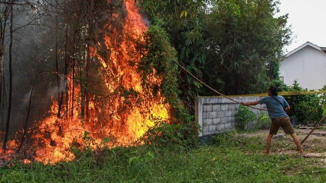 Foto: Dua Pelajar 16 Tahun Ditangkap Usai Diduga Bakar Lahan di Belitung Timur | Pifa Net
