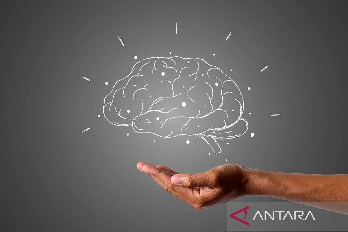 Foto: Studi Ungkap Olahraga Rutin Bisa Bikin Usia Otak Lebih Muda Secara Biologis | Pifa Net