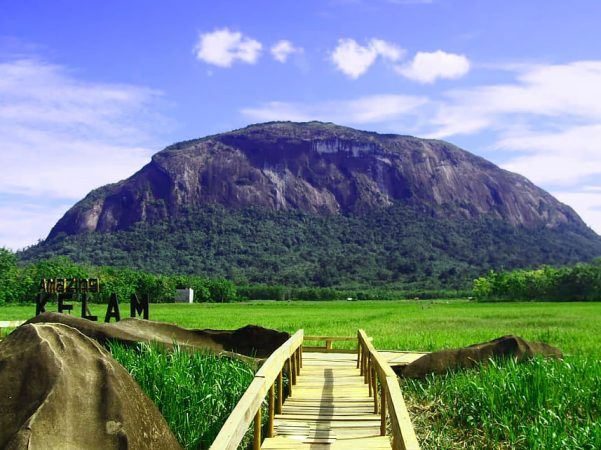 Foto: Bukit Kelam: Monolit Raksasa dan Surga Trekking di Kalbar yang Wajib Dikunjungi | Pifa Net