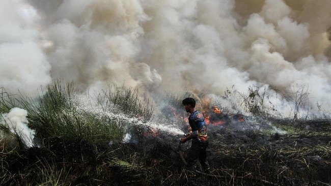 Foto: Chanee Kalaweit Ungkap Dugaan Kaitan Karhutla dengan Tambang Ilegal dan Sawit | Pifa Net