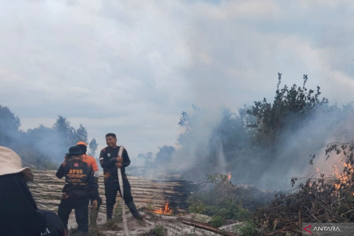 Foto: BNPB Masih Terima Laporan Karhutla di Aceh, Riau, dan Kalteng Meski Musim Hujan | Pifa Net