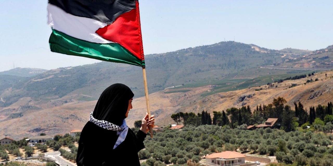 Ilustrasi seorang wanita memegang bendera Palestina