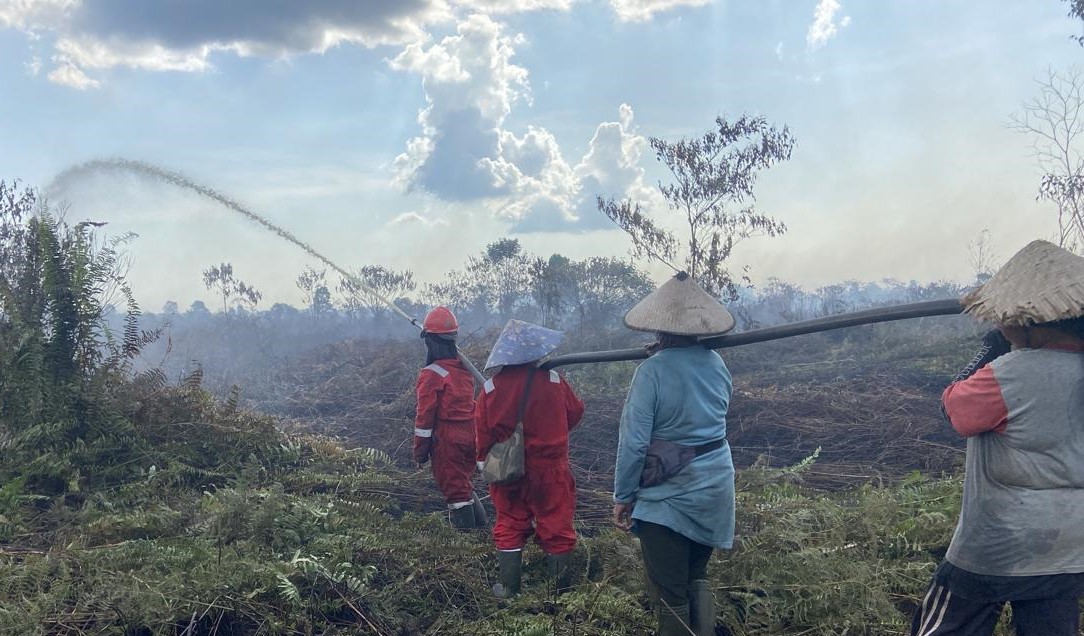 Foto: 15 Hektar Lahan Terbakar, Tim Gabungan Padamkan Karhutla di Kubu Raya | Pifa Net
