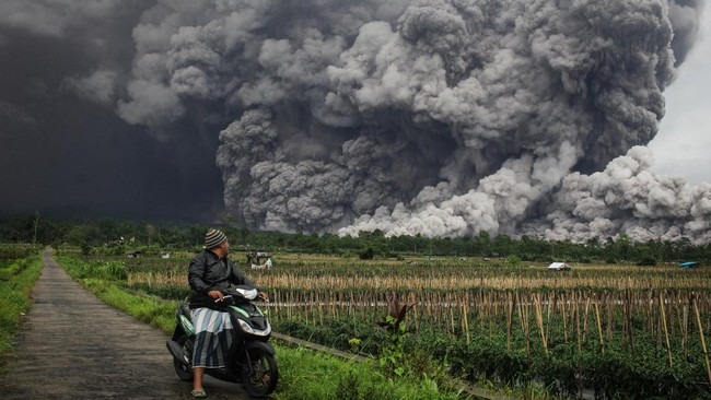 Foto: Gunung Semeru Empat Kali Erupsi, Kolom Abu Capai 600 Meter di Atas Puncak | Pifa Net