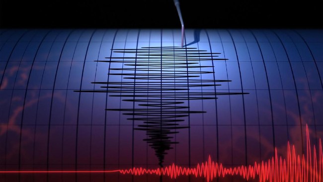 Foto: Gempa M7 NTT Bikin Warga Panik, Warga Maumere dan Selayar Evakuasi ke Tempat Tinggi | Pifa Net