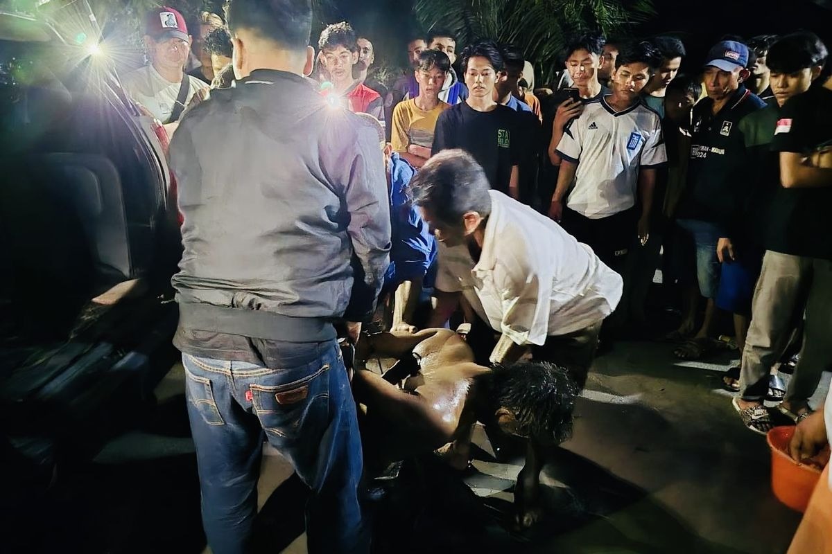 Foto: Pria Diduga ODGJ di Sambas Aniaya Keluarga hingga Tewas | Pifa Net