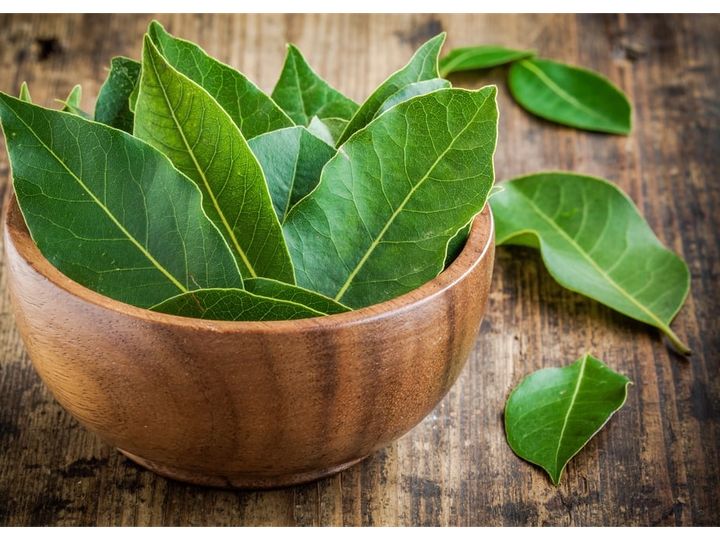 Foto: 5 Daun Herbal yang Ampuh Bantu Redakan Asam Urat secara Alami | Pifa Net