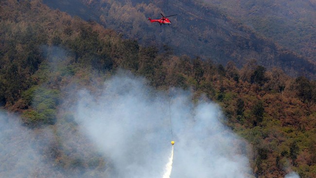 Foto: Karhutla Tahura Raden Soerjo Gunung Arjuno-Welirang Berhasil Dipadamkan | Pifa Net