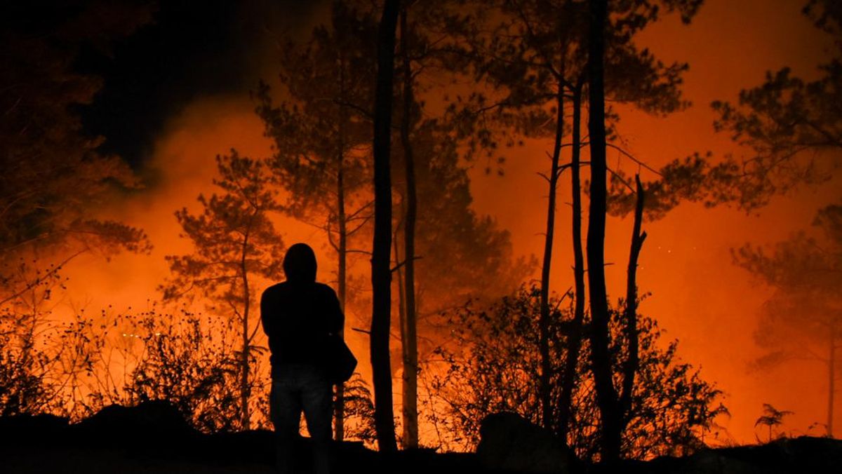 Foto: 61 Titik Panas Terdeteksi di Kalbar, Masyarakat Diimbau Waspada Karhutla dan Cuaca Ekstrem | Pifa Net