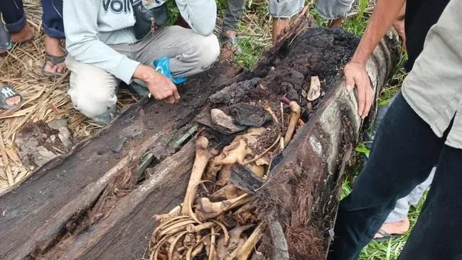 Foto: Pemuda Hilang Dua Tahun Lalu Diduga Ditemukan Jadi Kerangka di Dalam Pohon Aren | Pifa Net