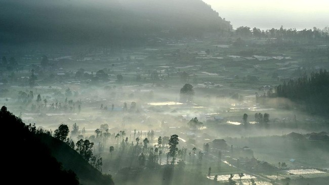 Foto: Viral WNA Promosikan Lahan 54 are di Kintamani | Pifa Net